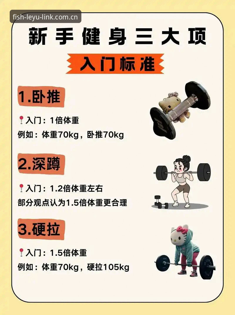 乐鱼体育娱乐环境功能详解 3大核心维度+5项数据指标:乐鱼体育娱乐环境功能详解全解析