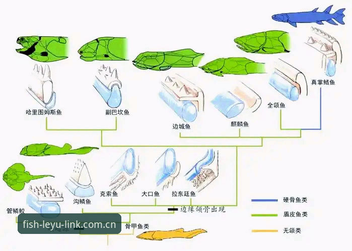 乐鱼体育平台官网 深度揭秘乐鱼体育平台官网:从赛事数据到极致体验的进化之路